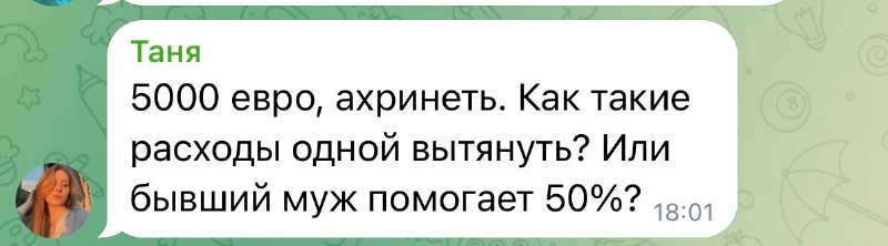 Практически весь наш бюджет в 4500–5000€ в
